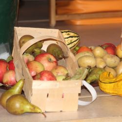 Ein Korb voll mit Äpfeln und Birnen, daneben liegen weitere Äpfel und Birnen so wie Kartoffeln und Zierkürbisse.