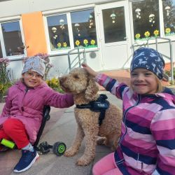 Der Hund wird von Zwei Mädchen, die sich über den Hund freuen, gestreichelt.